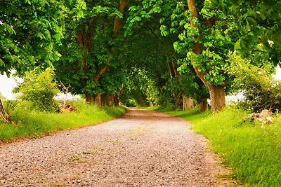 6 persone case ad Rudkøbing