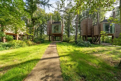 Belvilla Gemütliches Baumloft in Waldglück
