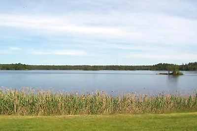 5 persoons vakantie huis in LAMMHULT, SVERIGE