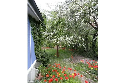 Wonen op het platteland