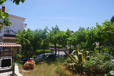 Boutique-Wohnung in Pješcana Uvala mit Balkon
