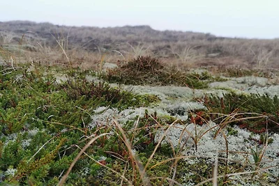 6 Personen Ferienhaus in Ringkøbing-By Traum