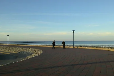 Deichtraum 50 m zum Strand Meer