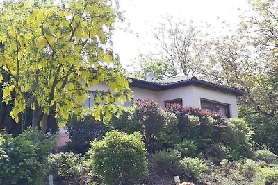 Holiday home in Asel-Süd with swimming pool
