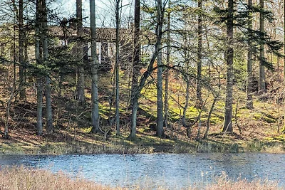 4 Personen Ferienhaus in Aars-By Traum