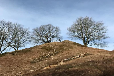 4 persone case ad Silkeborg-By Traum