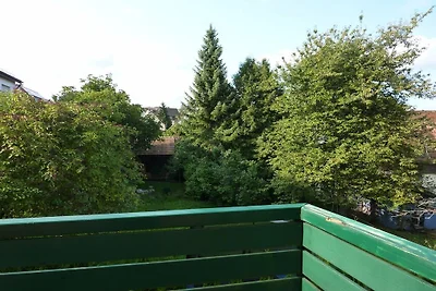 Zwarte Woud licht
