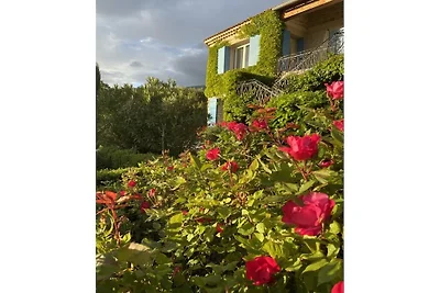 Cerisiers - Rosiers