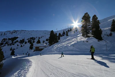 Chalet a Wildkogel con Ski-in/Ski-out
