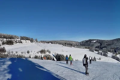 Ferienhaus gegenüber dem Skigebiet