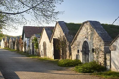 Streckhof Stieflegasse