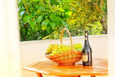 Villa Maslina-Olive one bedroom apartment...