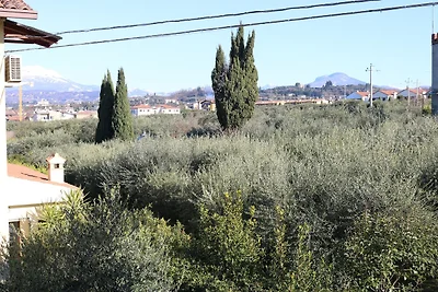Lazise Spokojny Ogród Escape