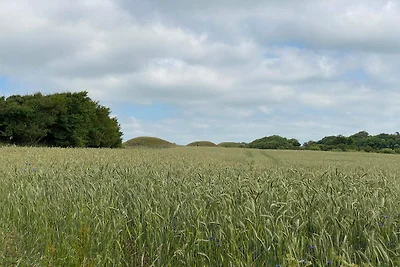 10 persoons vakantie huis in Ranum