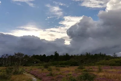 5-osobowy dom wakacyjny w Ålbæk