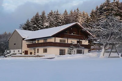 Ferienwohnung mit 1 Schlafzimmer