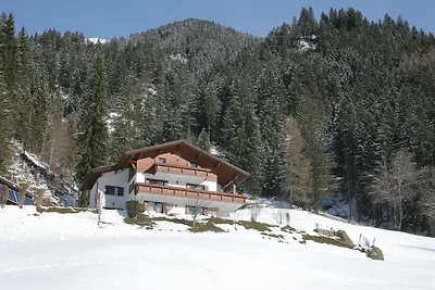 Wohnung in St. Gallenkirch beim Skigebiet