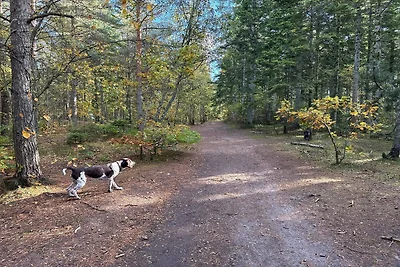 6 persoons vakantie huis in Ålbæk