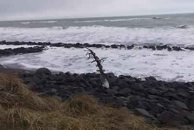 10 Personen Ferienhaus in Løkken-By Traum