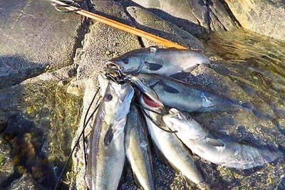 4 Personen Ferienhaus in Leirvik i Sogn