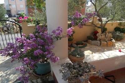 Apartments Dea & Paula - Standard Two Bedroom...