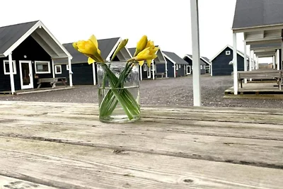 4 Sterne Ferienhaus in Thyborøn