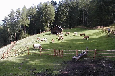 Appartamento per vacanze a Kiens con piscina