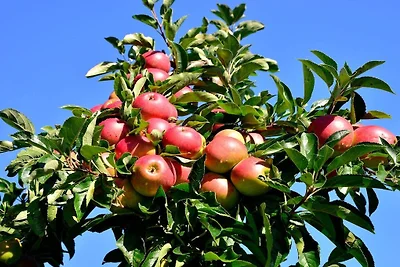 Kuća za odmor Dopust za oporavak Jork