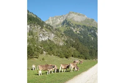 B Und B mit 1 Schlafzimmer