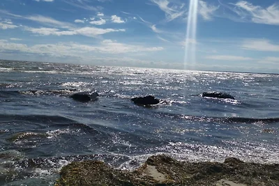 12 Personen Ferienhaus in Væggerløse-By Traum