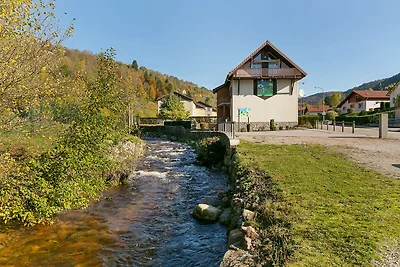 Geräumiges Appartement in La Bresse mit...