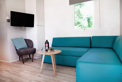 Schönes Chalet mit Klimaanlage, am Drents-Fri...