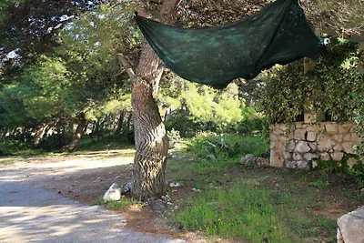 Appartement in Vrbanj met barbecue en wifi.