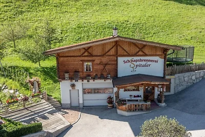 Apartament wakacyjny Spitaler