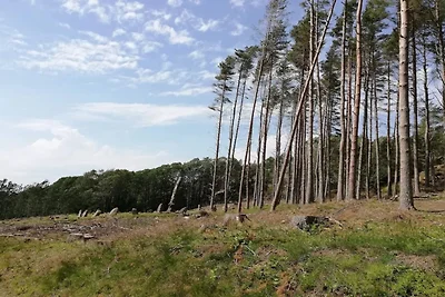 6 persone case ad Fjällbacka