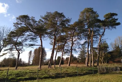 Villa-Apartment mit Terrasse