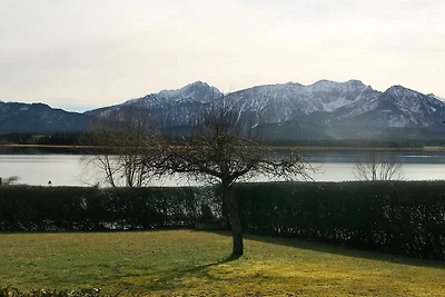 Keller - Bergblick ||