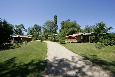 Comfortable chalet located among vineyards in...