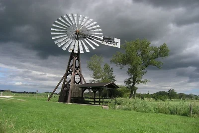 Ferienhaus in Stolpe mit Schwimmbecken