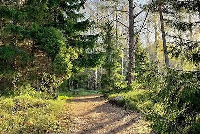 4 Personen Ferienhaus in NORRTÄLJE-By Traum