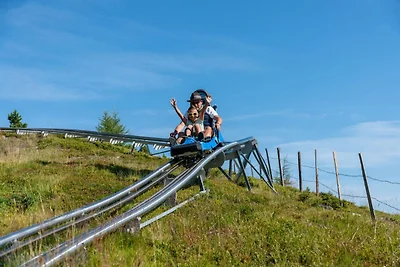 Appartement in Alpen bij Skigebied