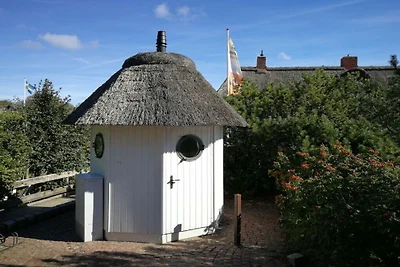 "Seepferdchen" Haus Klarinette