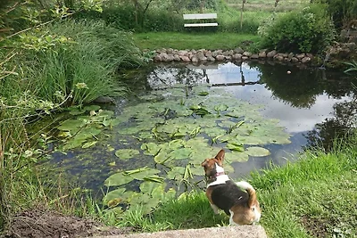 Kustgezicht van Oost-Friesland