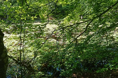 5 Sterne Ferienhaus in Løkken