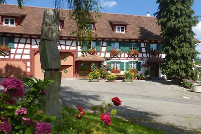 Wohnung in Owingen mit Schwimmbecken