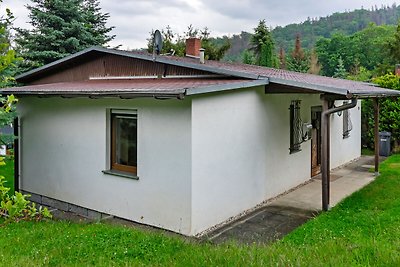 Schickes Ferienhaus im Harz, Waldlage, Terras...
