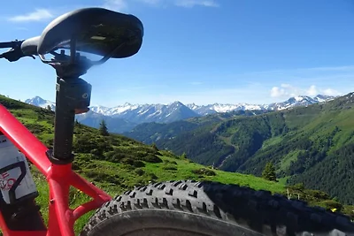 Ferienwohnung Alpenrose im Huaterhof