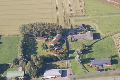 EcoLodge Gruppen