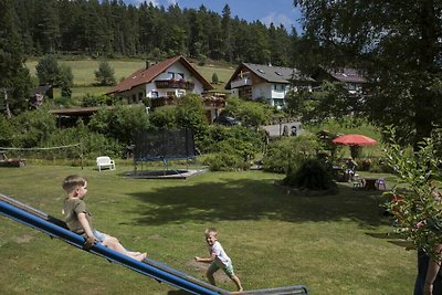 Weissenbach nella casa vacanze Schenk