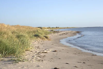 8 persoons vakantie huis in Hals-By Traum